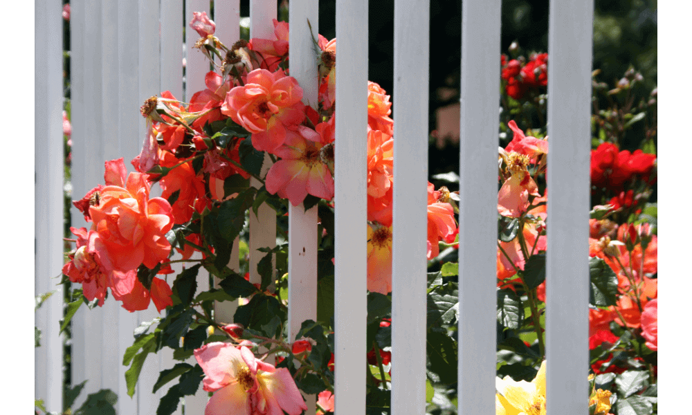 fencing tips for gardeners